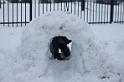 Record Snow in NTX